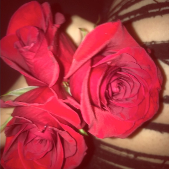 Meet your Posher, Sabrina - Picture 1 of 1